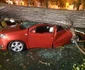Copac căzut peste o mașină în Galați Foto: Radio Galați jpg