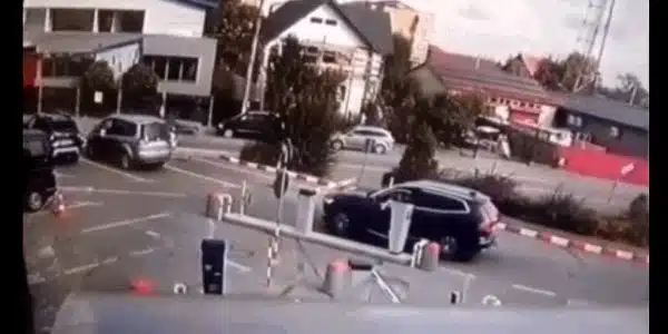 soferita gif gif