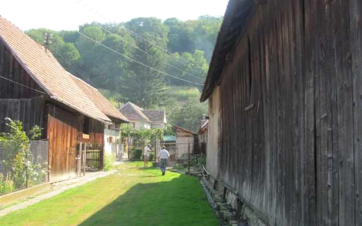 Gospodăriile de la Moșna sunt unice în România. FOTO Ramona Găină