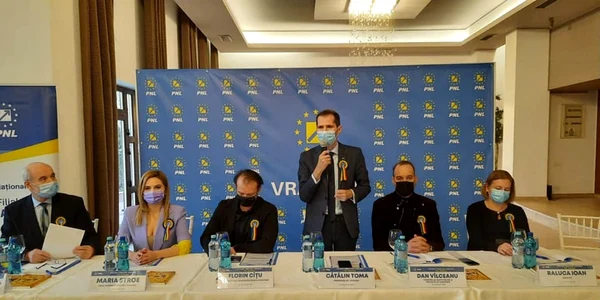 pnl vrancea citu
