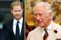 charles si ducii de sussex