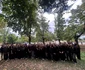 Consiliul Național al Elevilor a îndemnat elevii să participe voluntar la protest 