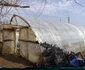 solarii la cioroboreni FOTO Corina Macavei