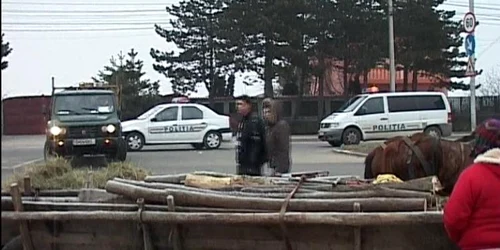 Lemnele au fost confiscate de poliţie (foto arhiva)