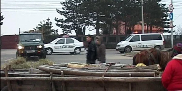 Lemnele au fost confiscate de poliţie (foto arhiva)