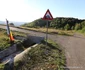 Transluncani Foto Daniel Guță ADEVĂRUL (35) JPG