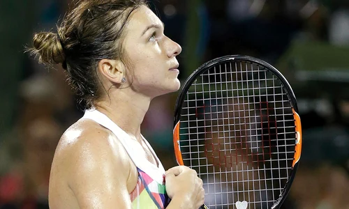 halep29 sport halep ap 1603 jpeg