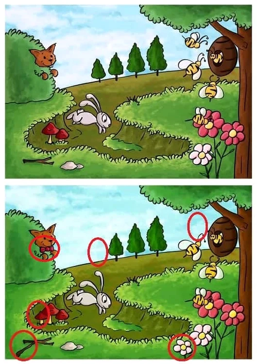 Rezolvarea testului
