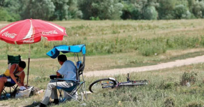 Taxă de plajă pe păşunea comunală