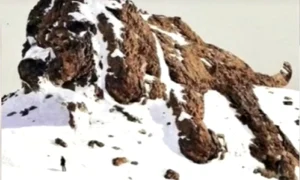 LmpwZyZ3PTgwMCZoYXNoPTViYzlmNDI1ZmYwZTJiNWNkM2NmMjNmZDU1ZjI5Yjc0 thumb jpg