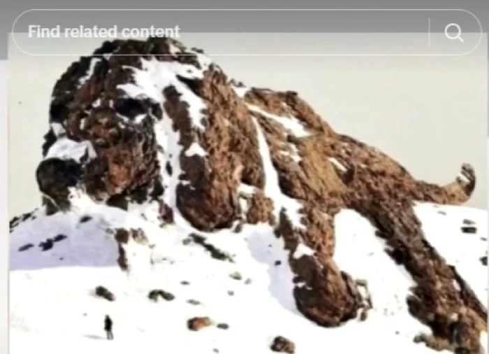 Iluzia optică care a creat vâlvă pe internet / Foto: captură video Tiktok
