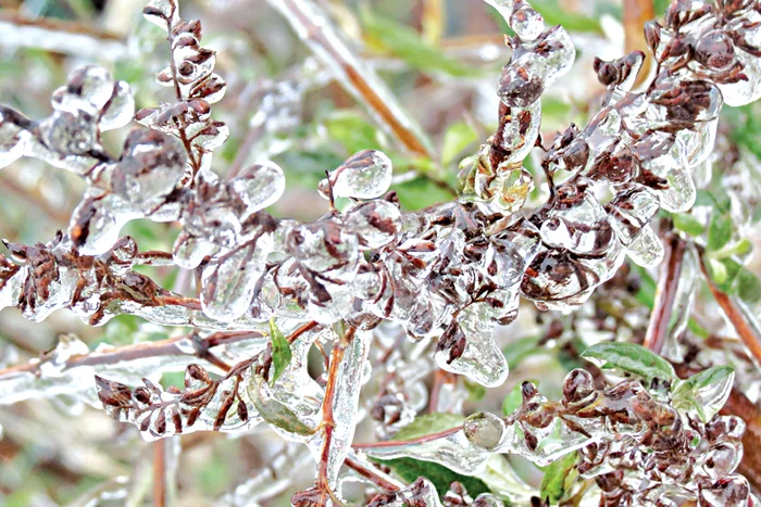 Foto: Sever Gheorghe