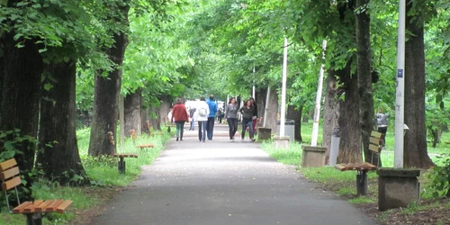 parcul sub arini sibiu12