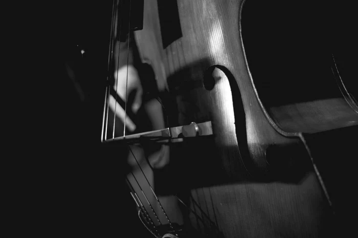 Katinka Kleijn a cântat la violoncel, iar în acelaşi timp undele sale cerebrale au fost transformate în sunete FOTO Deviantart