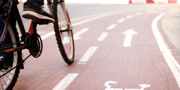 Piste biciclete pe Valea Oltului Foto Adevărul - credit DMS