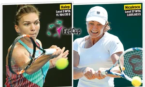 fed cup romania jpeg