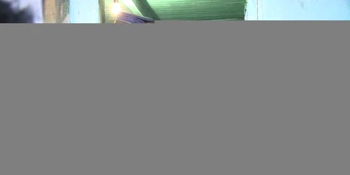 Peste 20 de persoane au fost conduse la audieri