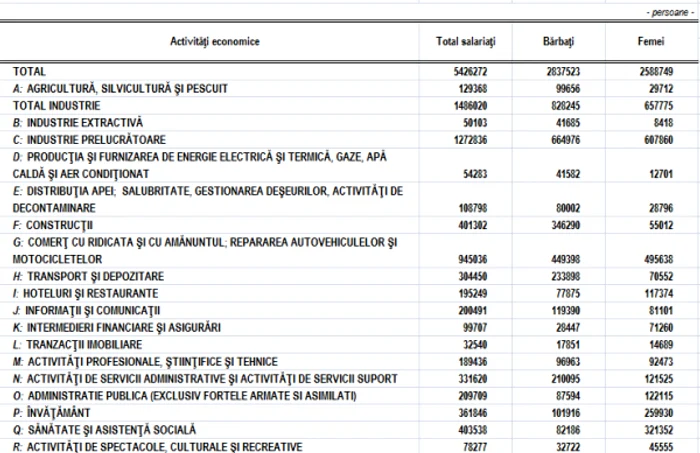 numar salariati 2018 sursa ins