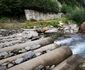 Lacul Gura Apelor din Retezat Foto Daniel Guță (132) jpg