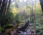 cascada lolaia din retezat foto daniel guta