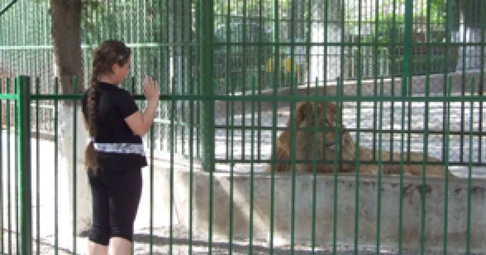 Neamţ: Recomandări