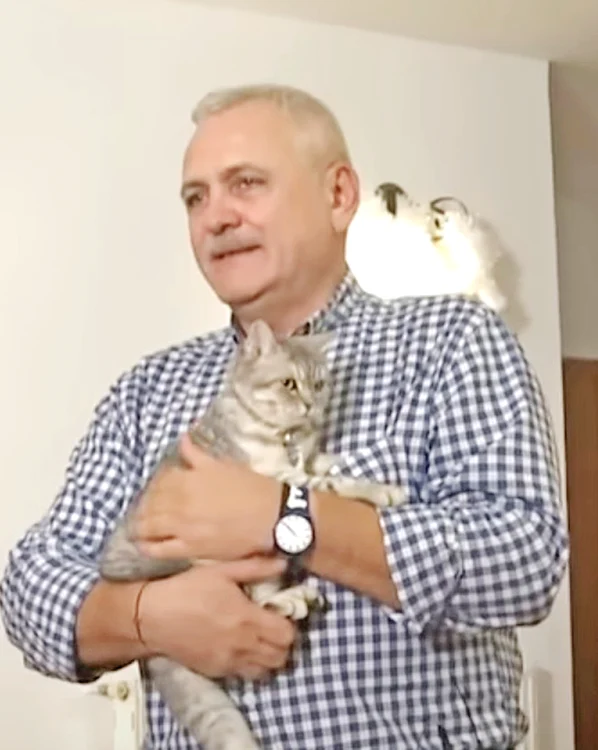 Pisicuţa Bobiţa, răsfăţata lui Dragnea / foto: arhiva personală