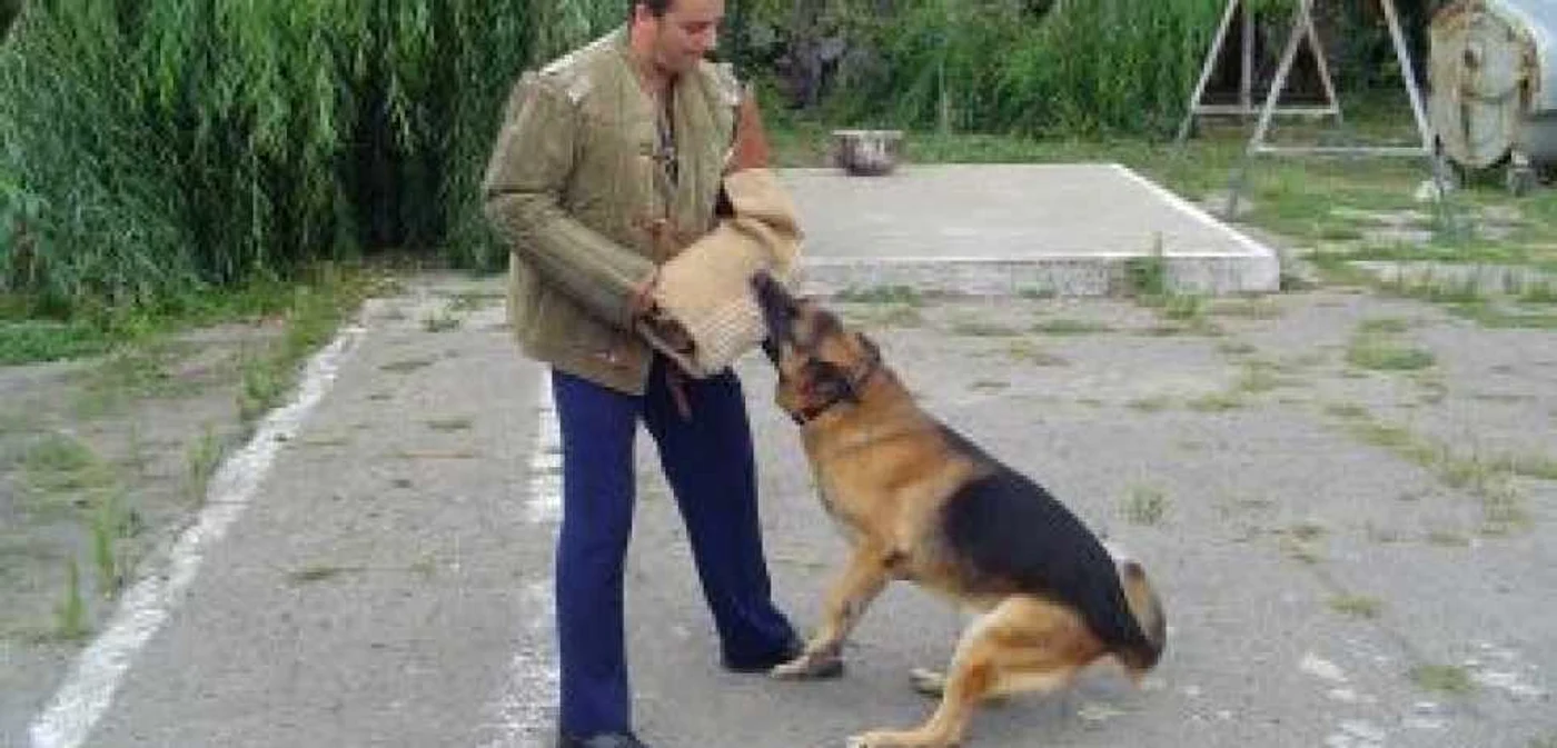 Ploieşti: Câinii Poliţiei Municipiului Ploieşti, agenţi fără uniformă