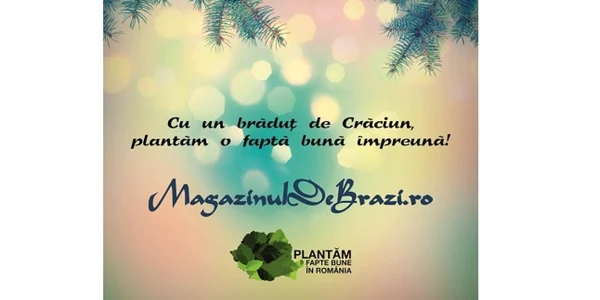 bradut