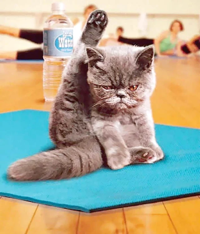 Ia uite la mine, poate prind  Olimpiada de  gimnastică  la anul!