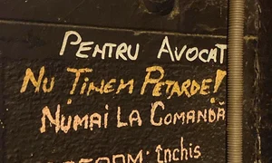 p 24 M  Chivu 2 jpg