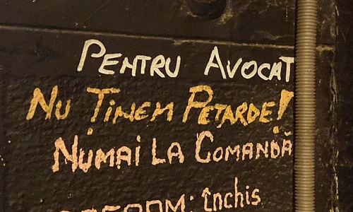 p 24 M  Chivu 2 jpg
