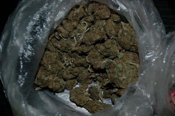 Drogurile erau vândute de dealer cu 40 de lei pe gram, şi ajungeau la consumatori cu 60 de lei pe gram