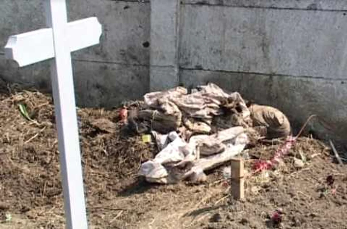 Osemintele au fost găsite lângă gardul cimitirului
