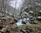 Valea Anineșului Drumul spre Fața Cetei (16) jpg