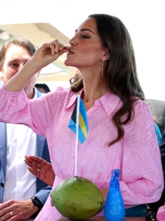 Kate apă cocos png
