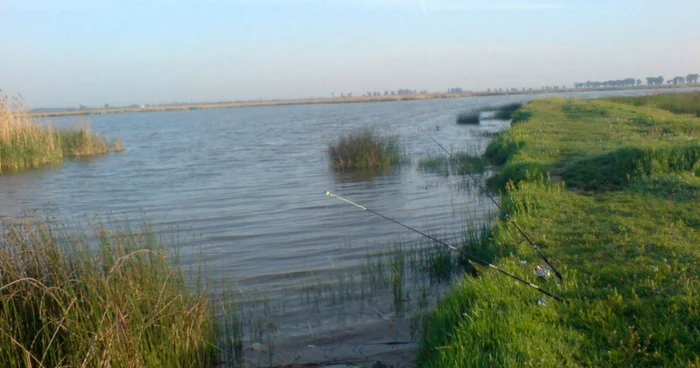 Porţiune din Balta Tălăbasca unde mai este ceva apă FOTO C Crângan