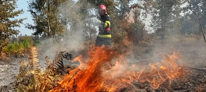 Misiunea a avut rolul de a limita incendiile de pădure FOTO ISU Neamț