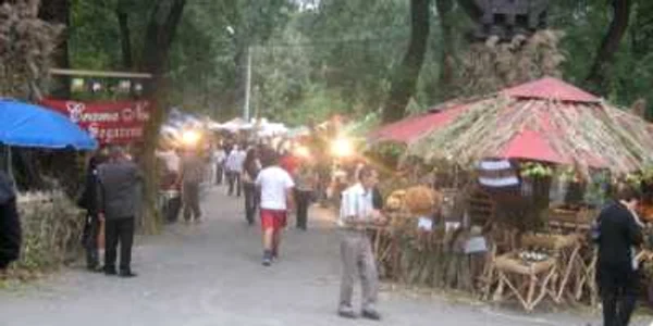  Severinenii,la festival, se pot delecta cu muzică şi diferite preparate gastronomice 