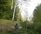 100 3801 jpg