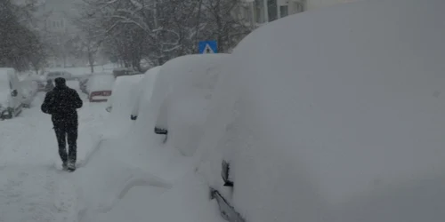 zapada vaslui