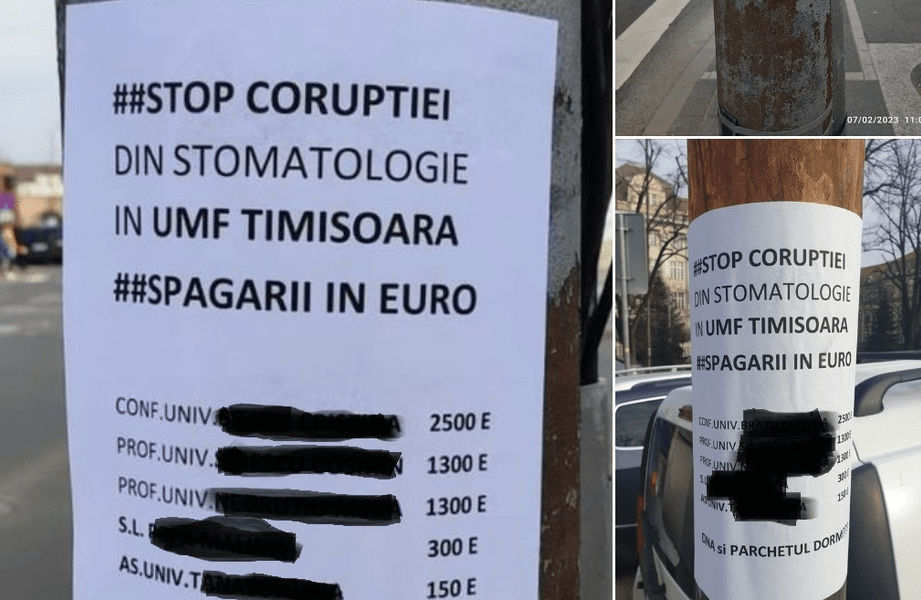 Amenda primită de o femeie care a „denunțat” corupția de la Medicină lipind afișe pe stâlpi: „Hârtia suportă orice” 