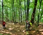 Poteca spre VF Godeanu refăcută Foto Parcul natural Grădiștea muncelului Cioclovina (7) jpg