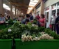 Ţăranii îşi pot vinde legumele doar cu certificat de producător