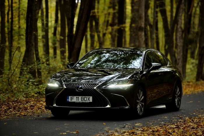 Mașină Lexus care rulează prin pădure
