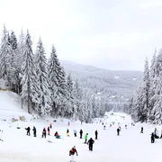 Pârtie Harghita FOTO Shutterstock jpeg