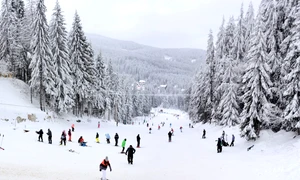 Pârtie Harghita FOTO Shutterstock jpeg