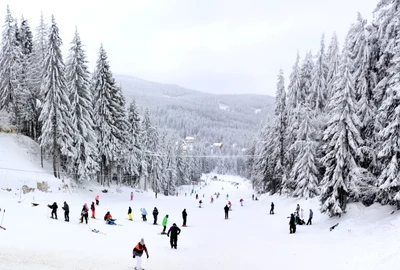 Pârtie Harghita FOTO Shutterstock jpeg