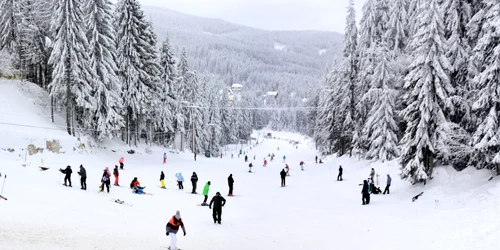 Pârtie Harghita FOTO Shutterstock jpeg