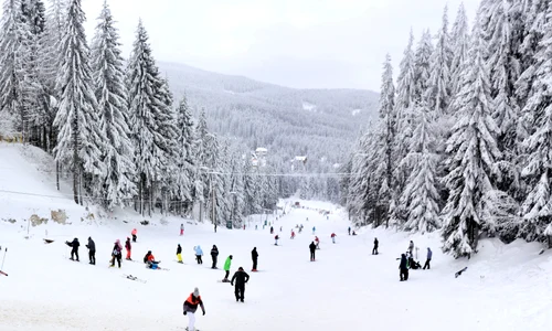 Pârtie Harghita FOTO Shutterstock jpeg