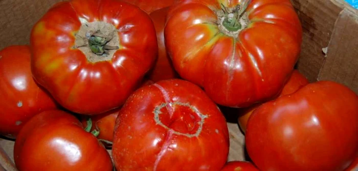 Tomatele Inimă de Bou ar putea să dispară din grădinile românilor